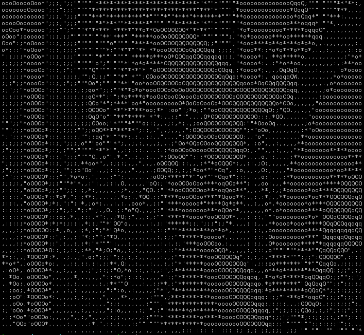 lena_ASCII